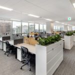 W office